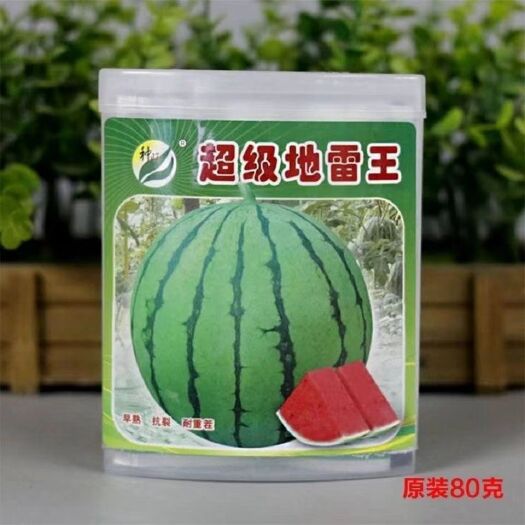 樟树市种旺【地雷王】西瓜种子早熟大果地雷瓜皮薄耐裂耐重茬高产抗病甜