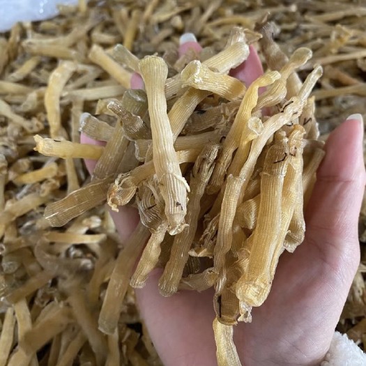 沙虫干炖品店营养煲汤无沙免洗不添加天然海鲜干货虚汗海肠子干