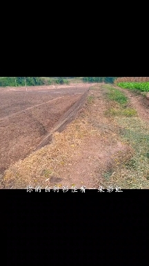 仁寿县土地流转