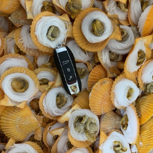 北海北海厂家一手黄金贝批发 黄金粉丝贝 产地一手货源 量大价优