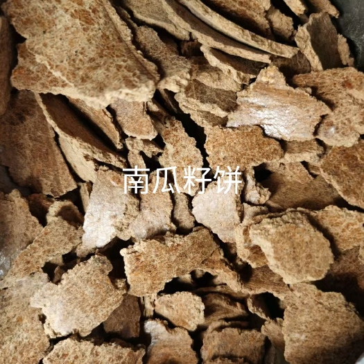 巨鹿县南瓜籽饼