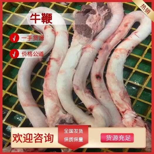 北京鲜牛鞭，自己家屠宰场一手货源，质量很好