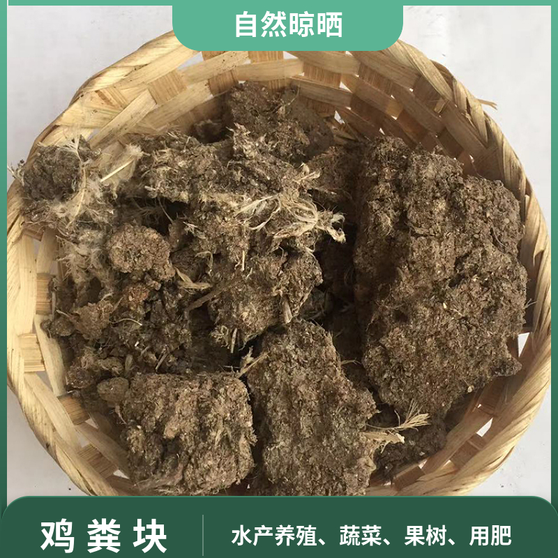 自然晾晒干鸡粪块 无杂质纯鸡粪水产种植用干鸡粪