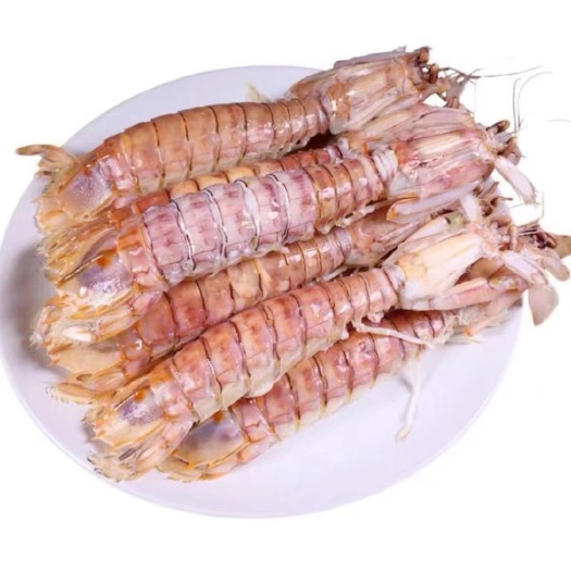 北海北部湾特产皮皮虾