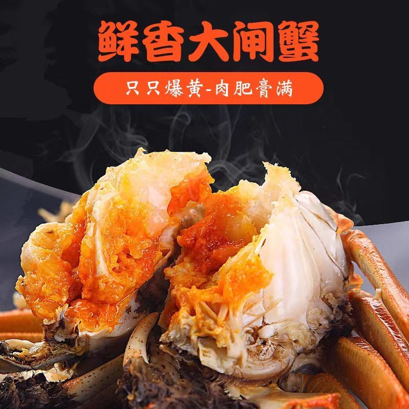 南京固城湖大闸蟹红膏蟹