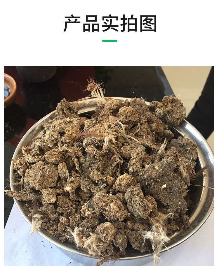 自然晾晒干鸡粪块 无杂质纯鸡粪水产种植用干鸡粪