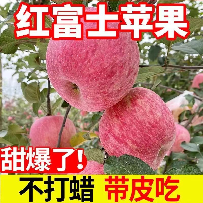 蒙阴县【红富士苹果】山东苹果产地 冷库红富士苹果