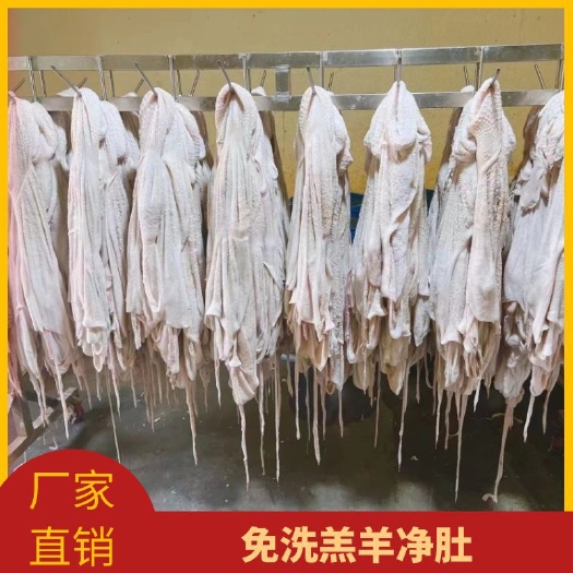 羊肚 清真水褪羔羊净肚 里外干净 肚包肉好原料 有板冻、卷冻