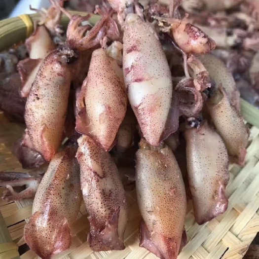 东山县东山岛小管仔干鱿鱼干海兔干货鱿鱼仔籽乌贼墨鱼仔既食尤鱼仔干