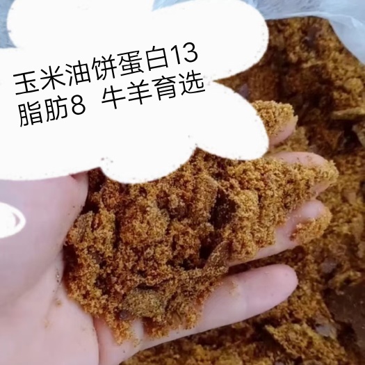 石家庄玉米油饼，蛋白13，脂肪8，纯玉米毛油压榨，
