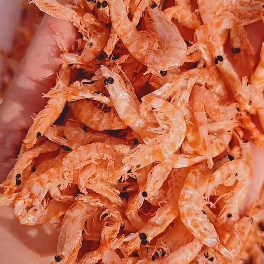 富平县工厂直销 磷虾大量批发