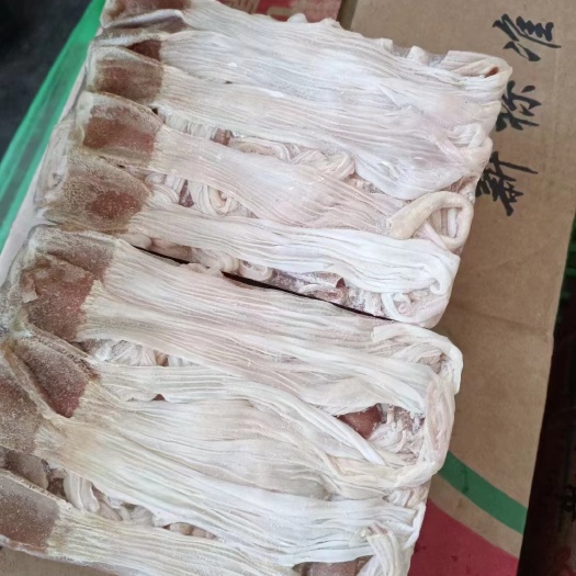 鸭食管