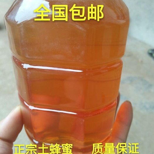 苍溪县土蜂蜜 蜂蜜 油菜花蜜 百花蜜中药槐蜜 农家自家养殖生产销售