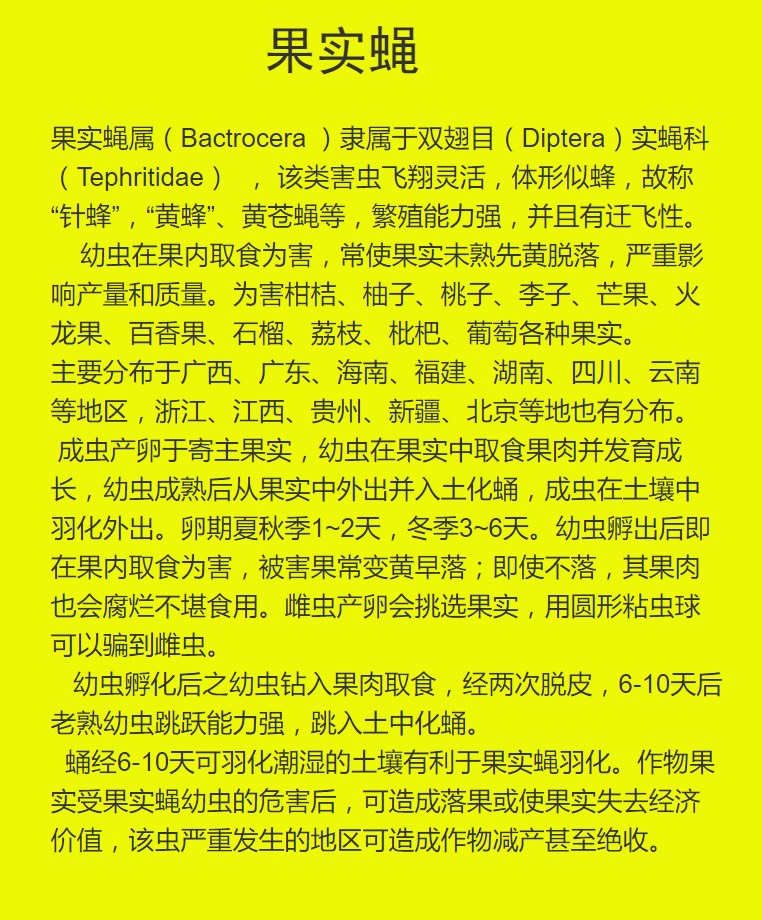 果園果樹誘蠅球柑橘大果實蠅小實蠅誘捕器誘粘劑引誘劑小飛蟲滅殺