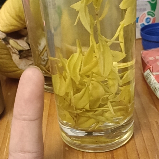 松阳县精品黄金芽