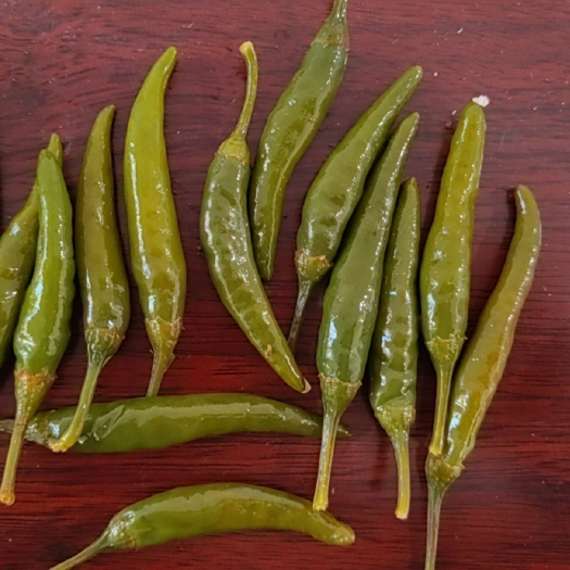 曹县高辣泡椒