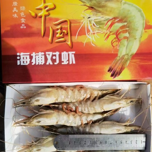 东港市单冻大海虾