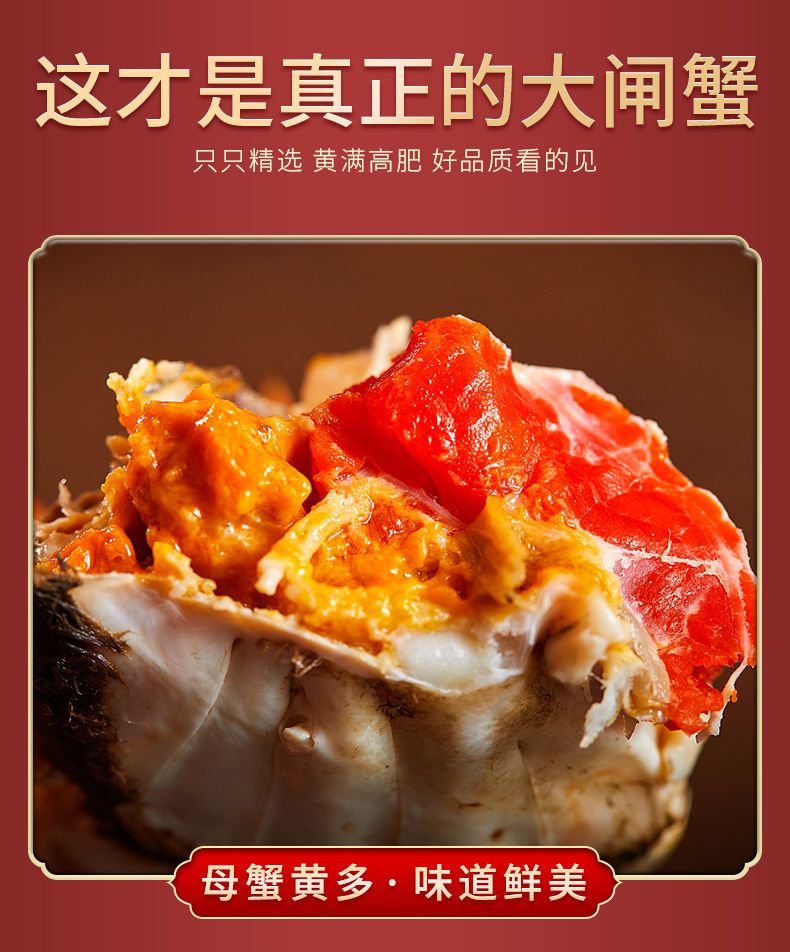 南京固城湖红膏大闸蟹