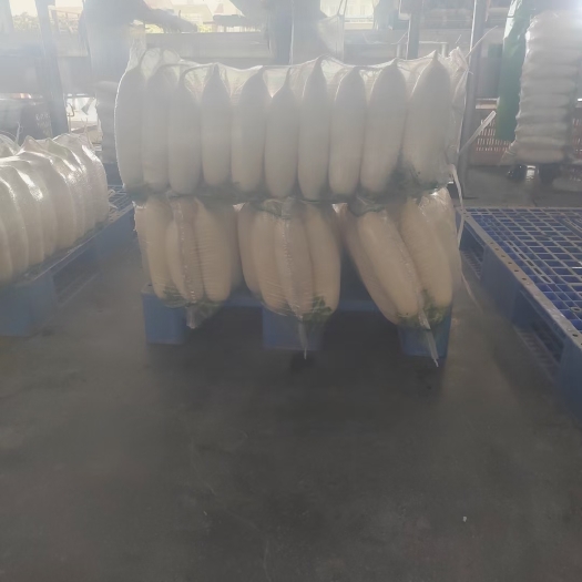 天门市供应精品白萝卜，产品好，诚信合作，价格合理