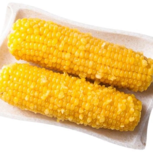 德惠市黄糯玉米