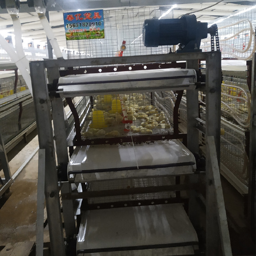 安平县肉鸡笼一组养60只肉鸡，小鸡到成鸡不转笼