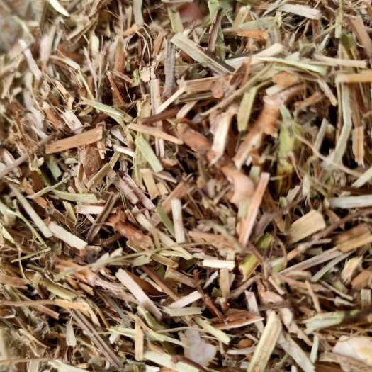 大连花生秧