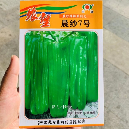 沭阳县农望晨纱7号薄皮泡椒种子 果顺皱辣椒种子薄皮椒种籽 微辣质脆