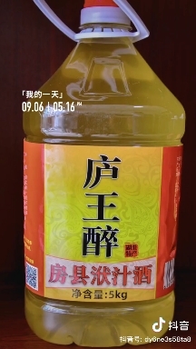 襄樊庐王醉洑汁