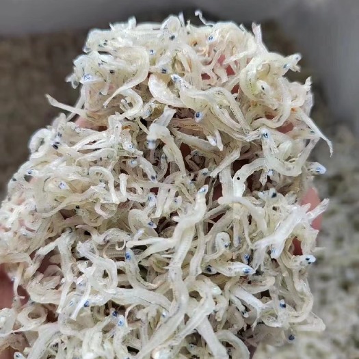 东山县丁香鱼干东山岛拉山网香甜美味入口即化宝宝辅食伴手礼即食小鱼干