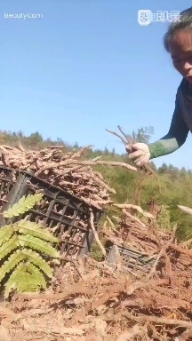 溪岩野生白花蜜