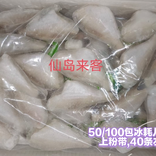 成都马面鱼30-50 耗儿鱼黑尾耗儿鱼