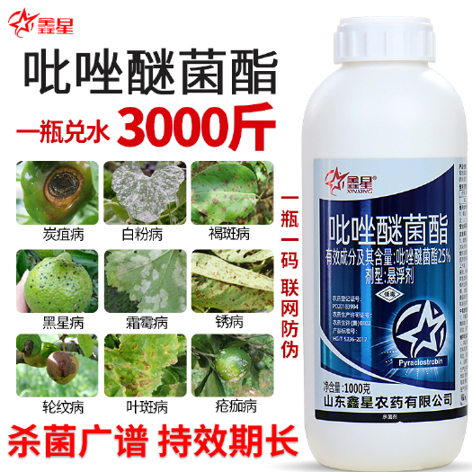 新沂市吡唑醚菌酯黄瓜白粉病霜霉病花卉果树炭疽病叶斑病锈病农药杀菌剂