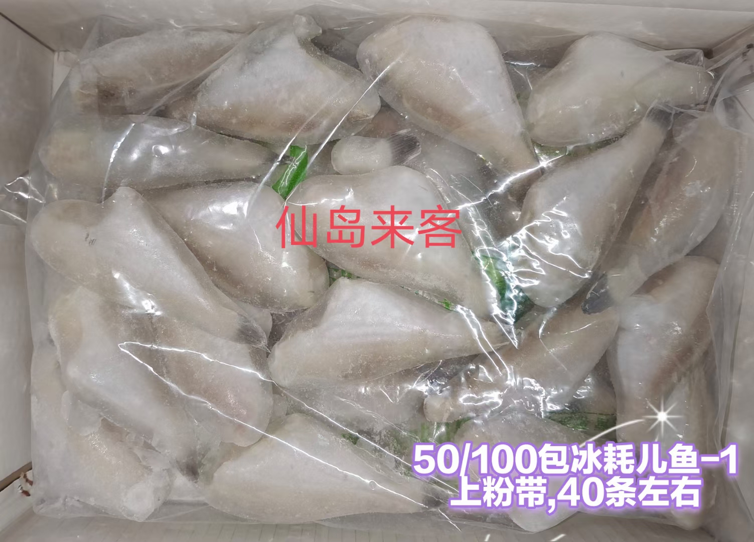 马面鱼30-50 耗儿鱼黑尾耗儿鱼