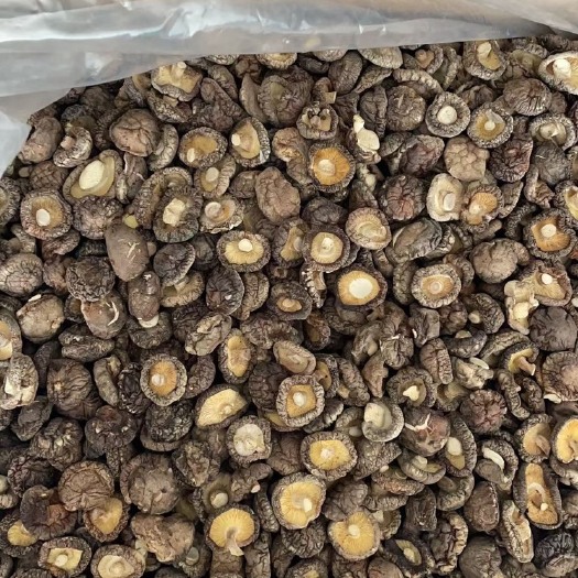 武汉干香菇干货批发散装各尺寸需求