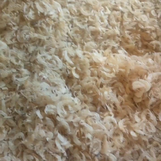 成都虾皮