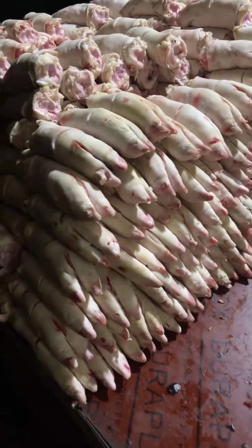 工厂直销，新鲜猪蹄！