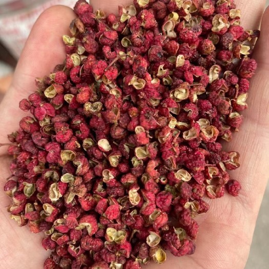 重庆市大红袍花椒  陕西大红袍 干花椒