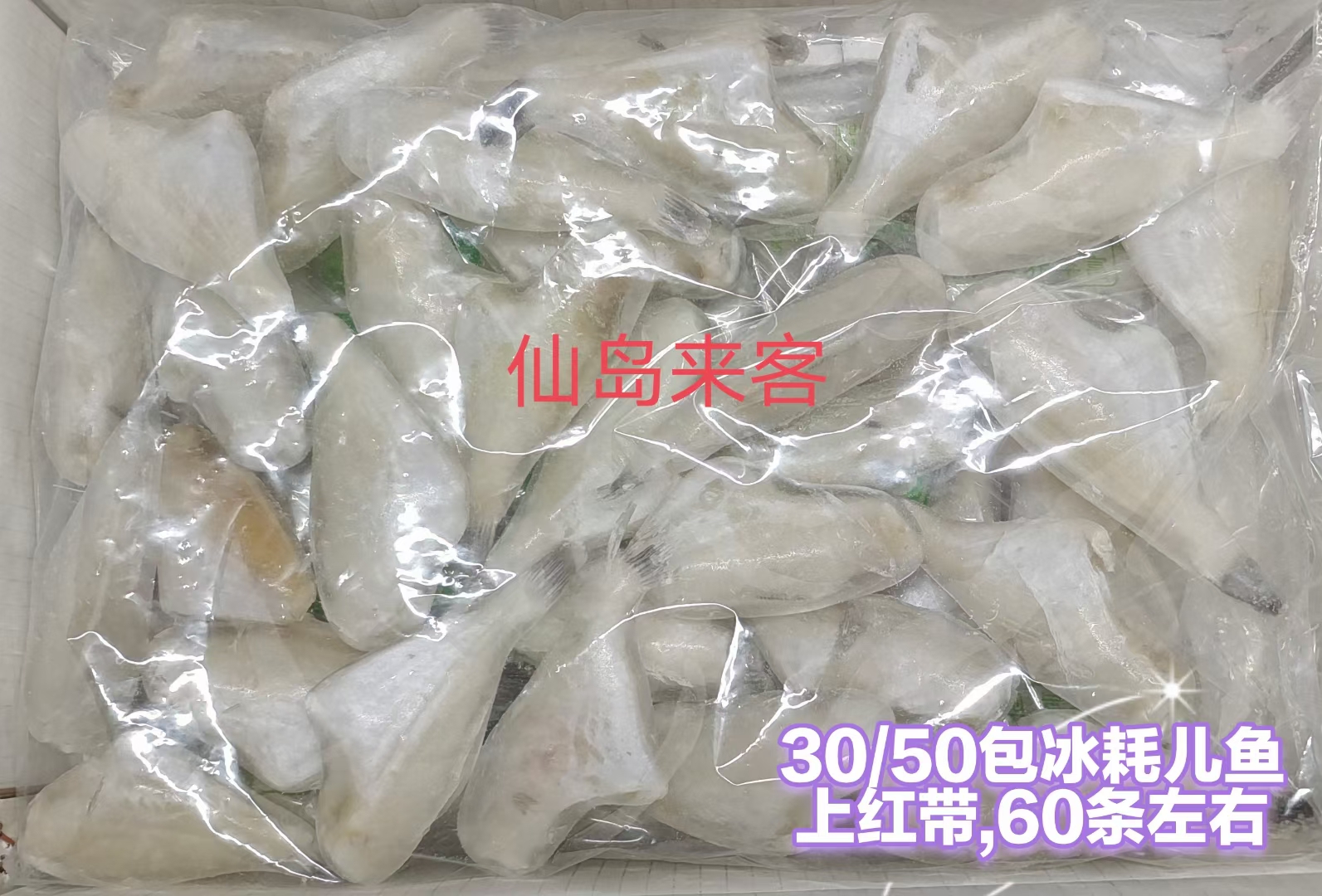 马面鱼30-50 耗儿鱼黑尾耗儿鱼