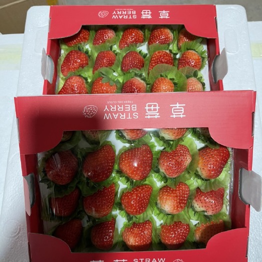 徐州奶油草莓，宁玉，妙香，口感好耐运输