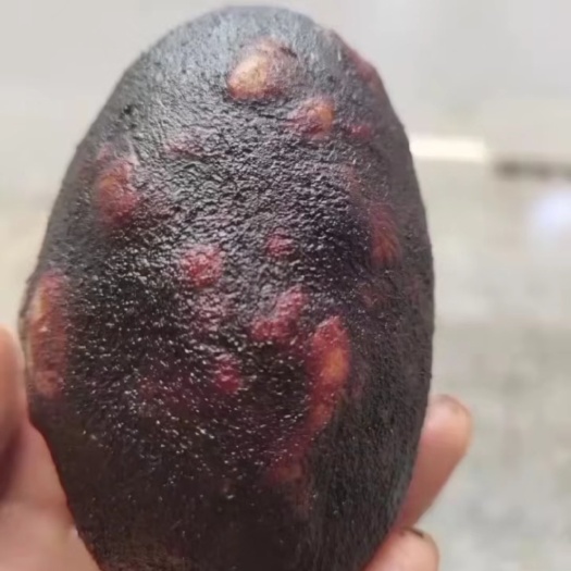 邵阳县豆腐丸子