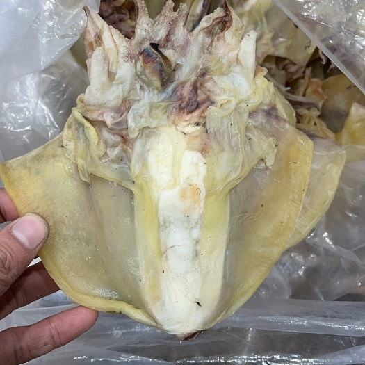 仙游县目鱼干
