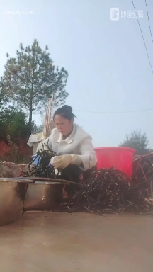 溪岩野生白花蜜