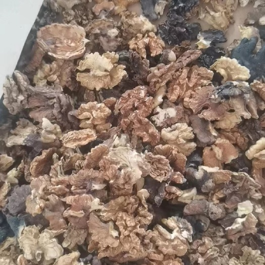莒南县榨油核桃、核桃仁、