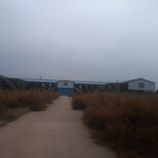 农业设施用地