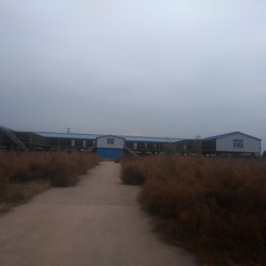 寿阳县农业设施用地