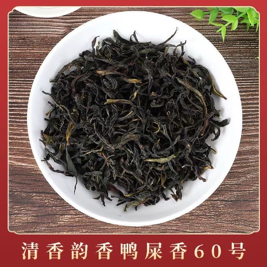 钦州凤凰单丛