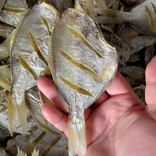 北海淡晒南鲳鱼干海鲜干货深海鱼干南昌鱼银鲳车片鱼黑鲳鱼仓鱼咸鱼干