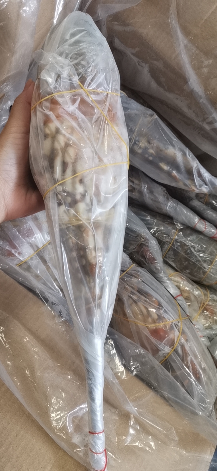花龙全规格