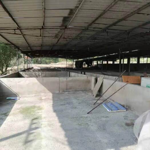 重庆市重庆长寿养猪场转让租凭