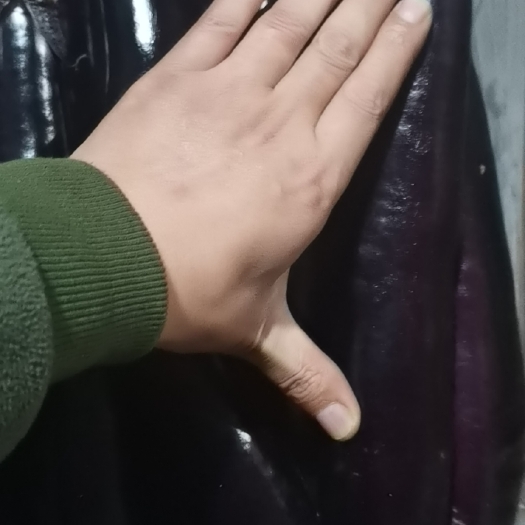 哈尔滨茄子
